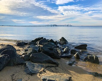 Terrapin Nature Park | Chesapeake Bay Bridge