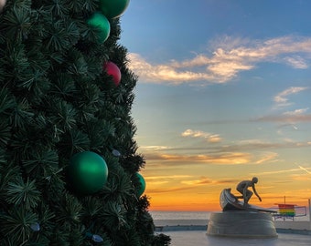Seas and Greetings | Christmas Tree in Hermosa Beach, CA