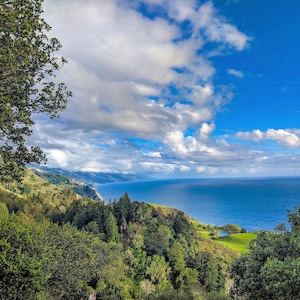 Nepenthe, Big Sur [digital download]
