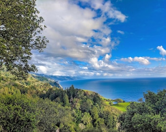 Nepenthe, Big Sur [digital download]