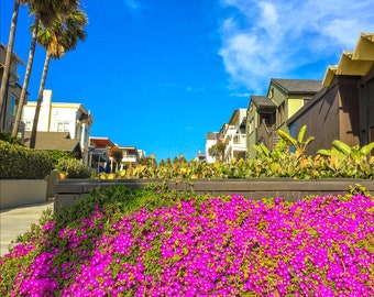 South Bay Flowers