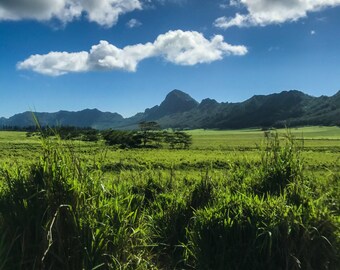 Kauai | MANAWA | Now is the moment of power.