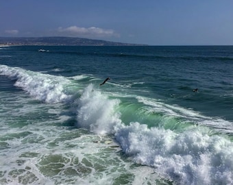 Launched | Manhattan Beach