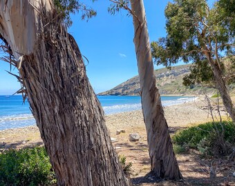 Smugglers Cove, Santa Cruz Island | Channel Islands off the Coast of Southern CA