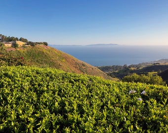 Palos Verdes, CA