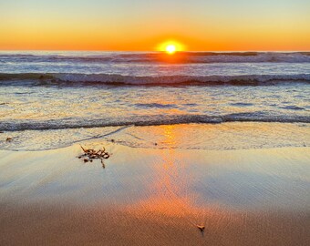 Currents | Hermosa Beach, CA