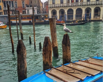 Sittin' On The Dock of the Bay in Venice