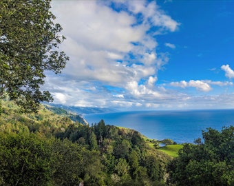 Nepenthe, Big Sur