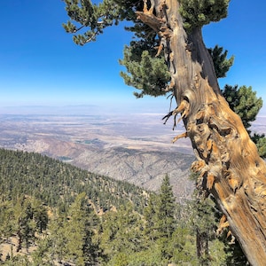 Hiking the Pacific Crest Trail 2