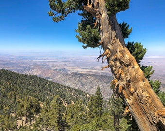 Hiking the Pacific Crest Trail 2