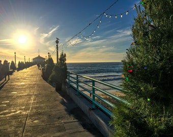 Tis the Season in the South Bay