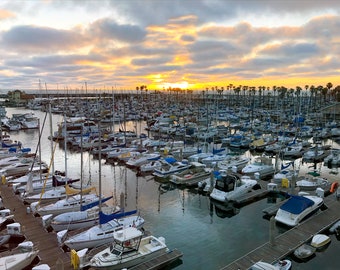 Throwing Shade | Redondo Beach, CA