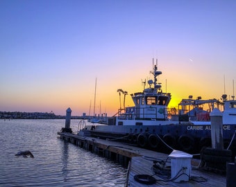 Soaring in King Harbor | Redondo Beach, CA