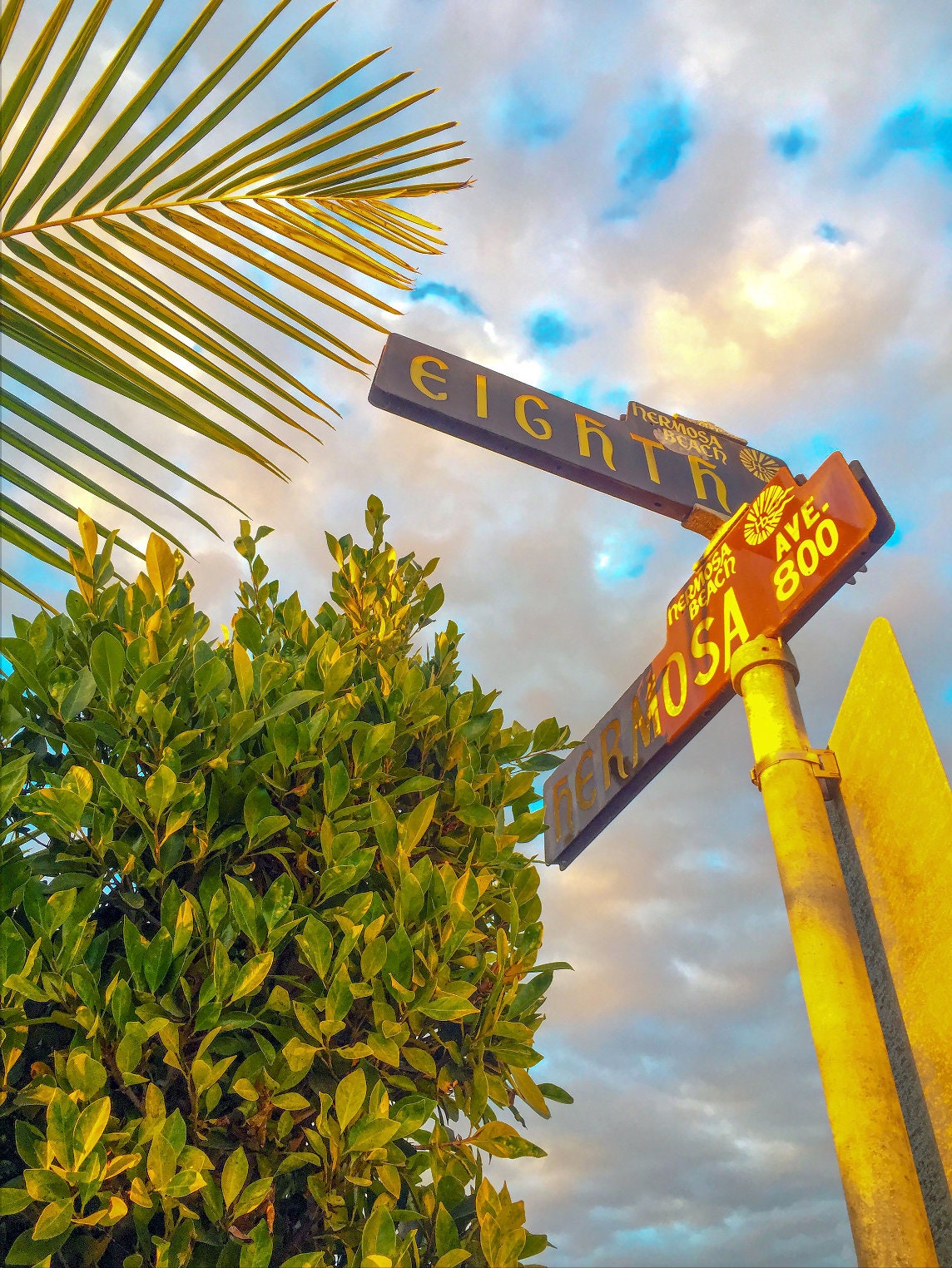 just another day in paradise on Just Another Day In Paradise Hermosa Beach Ca Etsy