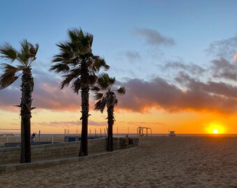 Zdmuchnięty przez wiatr | Hermosa Beach, Kalifornia