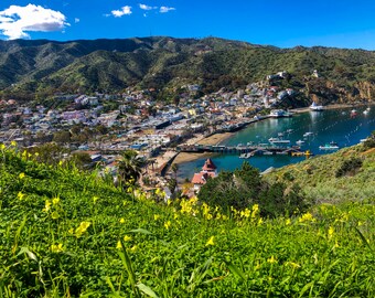 Avalon, CA