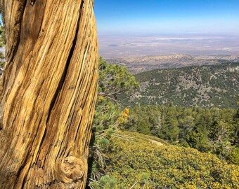 Gaining Perspective on the Pacific Crest Trail