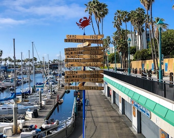 We're All in This Together | Redondo Beach, CA