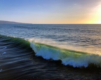 Waiving LA Beach Closures | Manhattan Beach, CA