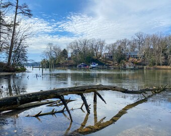 Walking on Water in Severna Park, Maryland