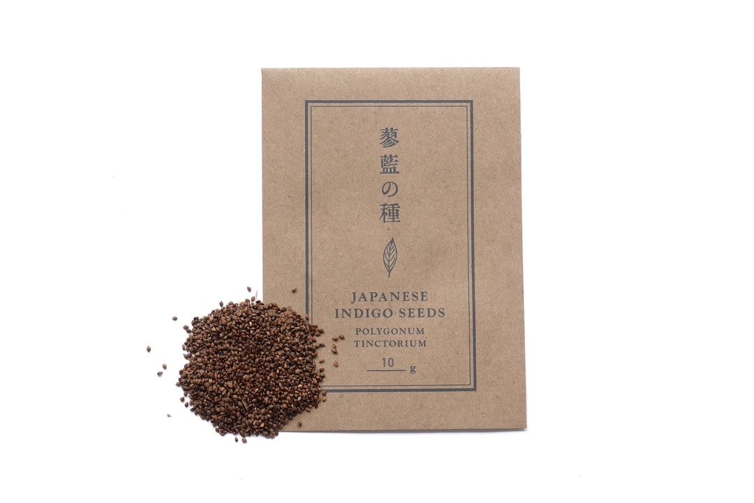 Japanese Indigo Seeds 10g From 2022 Harvest / Polygonum Etsy