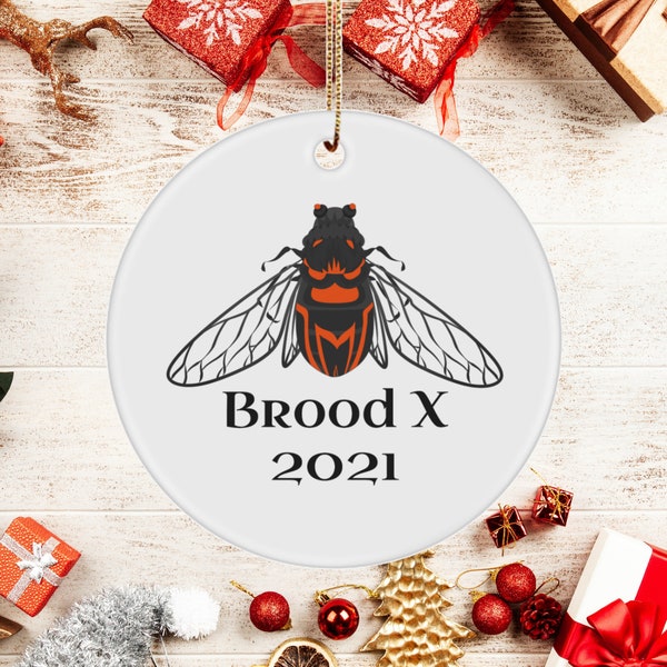 Regalo de entomólogo - Cicada Brood X 2021 Adorno cerámico - Emergencia de cigarra - Regalo para amantes de los insectos