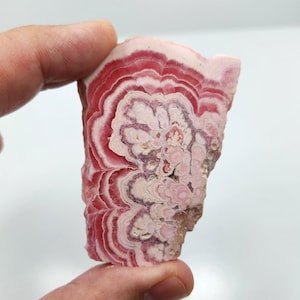 Rhodochrosite Stalactite Slice from Argentina