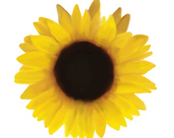 Sunflower Original Digital Artwork Prints