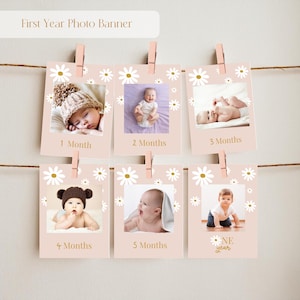 Banner per feste Daisy, Banner mensile modificabile, Banner fotografico modificabile per il primo anno, Decorazione per il primo compleanno di Daisy, Foto del primo anno del bambino Daisy