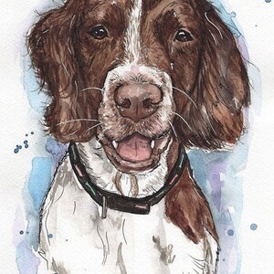 Springer spaniel watercolour print, springer spaniel gift, springer spaniel picture, wall art, home decor, letterbox gift