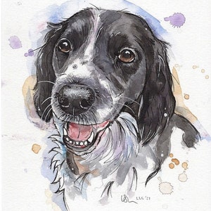 springer spaniel, watercolour print,, picture, working dog, spaniel portrait, wall art, home decor