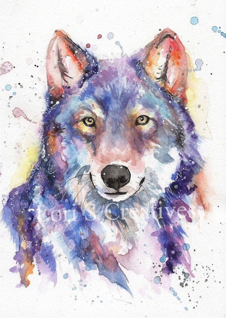 May include: Watercolour painting of a wolf's head with a purple, blue and pink colour scheme. The wolf has a light brown nose and yellow eyes. The background is white with colourful splatters.