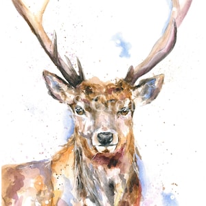Stag print, stag picture, watercolour print, wildlife art, gift, wall art, letterbox gift
