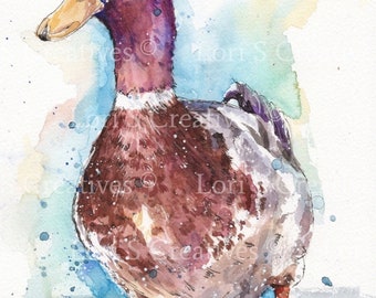 Duck print, watercolour print, mallard duck, art work, gift, wall art, home decor