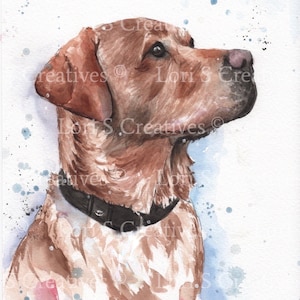 fox red Labrador print, labrador picture, fox red lab art, gift