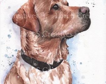 fox red Labrador print, labrador picture, fox red lab art, gift
