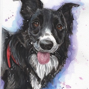 Border Collie dog, art print, watercolour print, picture, sheep dog, farm animal, gift