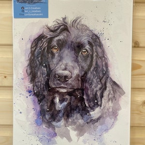 Cocker spaniel, watercolour print, picture, hound, working dog, gift