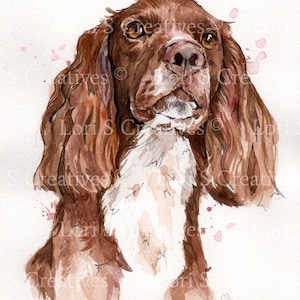 Working Cocker spaniel, watercolour print, picture, wall art, working dog, gift