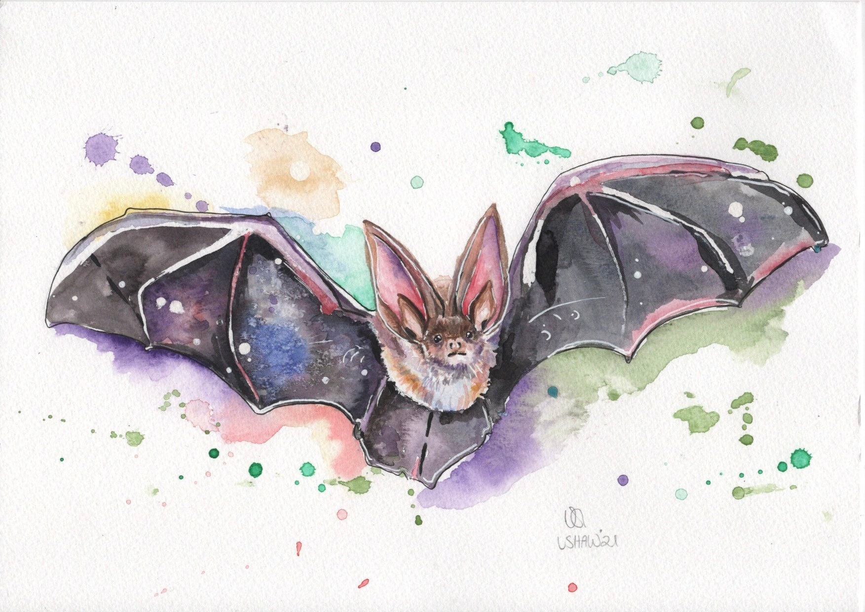 Bat picture / bat watercolour / bat print / bat painting / gothic / bat present / wall art / Halloween decor / home decor