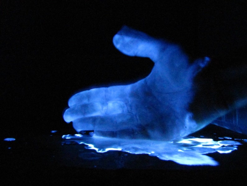 Luminol 5g Ultrapure 999 Blood Trace Detection Etsy