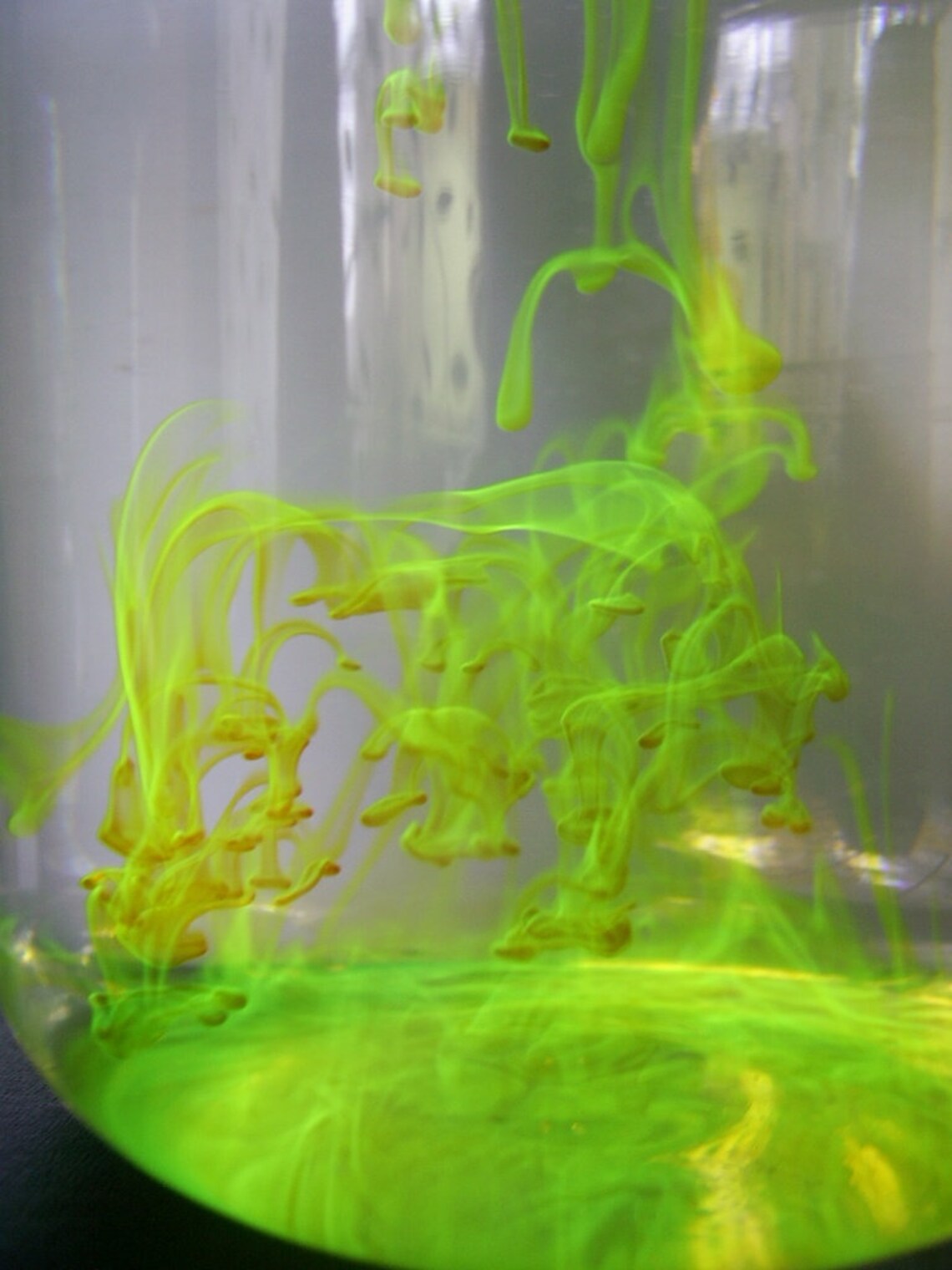 Fluorescein Powder Fluorescent Dye sodium Salt 400g Etsy Australia