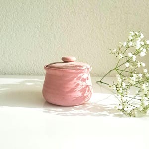 Può includere: Un piccolo barattolo di ceramica rosa con un coperchio. Il barattolo ha una forma rotonda e liscia e una superficie leggermente ruvida. Il barattolo è su una superficie bianca.