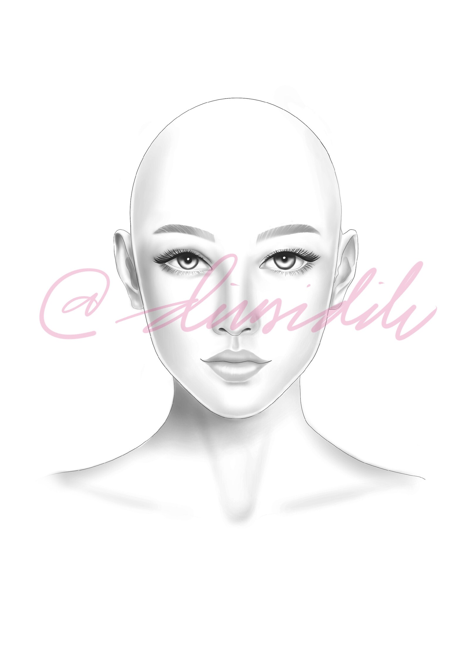 Basic Face Chart for Makeup and Haircut - Etsy