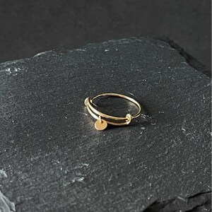 Adjustable Disc Ring