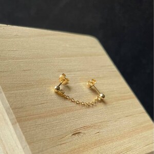 Double Piercing Chain Earring