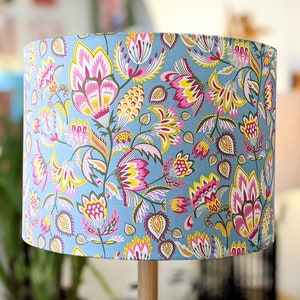 Quirky ceiling clearance light shades