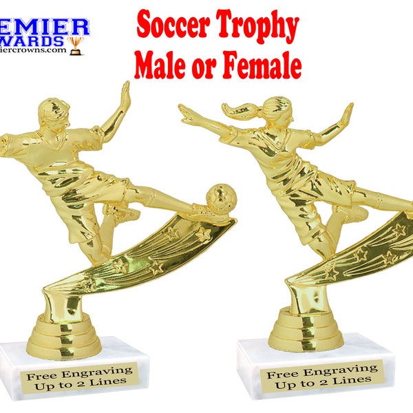 Soccer trophy.  Great award for sports leagues, recreational departments, schools, and more.