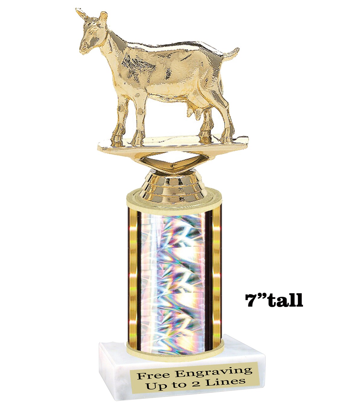 GOAT Trophy. 7