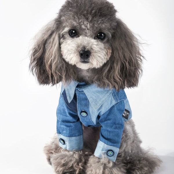 Cute Dog Clothes Etsy